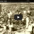 Video by Teacher Tube